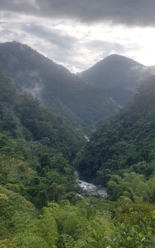 Kajaktour in Kolumbien. Aussicht von Jungle und ein Fluss. 